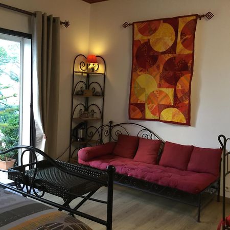 Mas Soleil Et Vignes Bed & Breakfast Saint-Hippolyte  Bagian luar foto