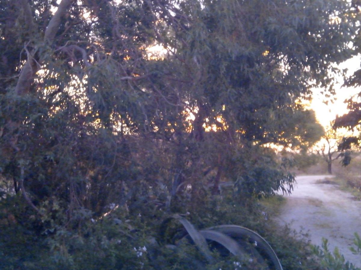 Mas Soleil Et Vignes Bed & Breakfast Saint-Hippolyte  Bagian luar foto