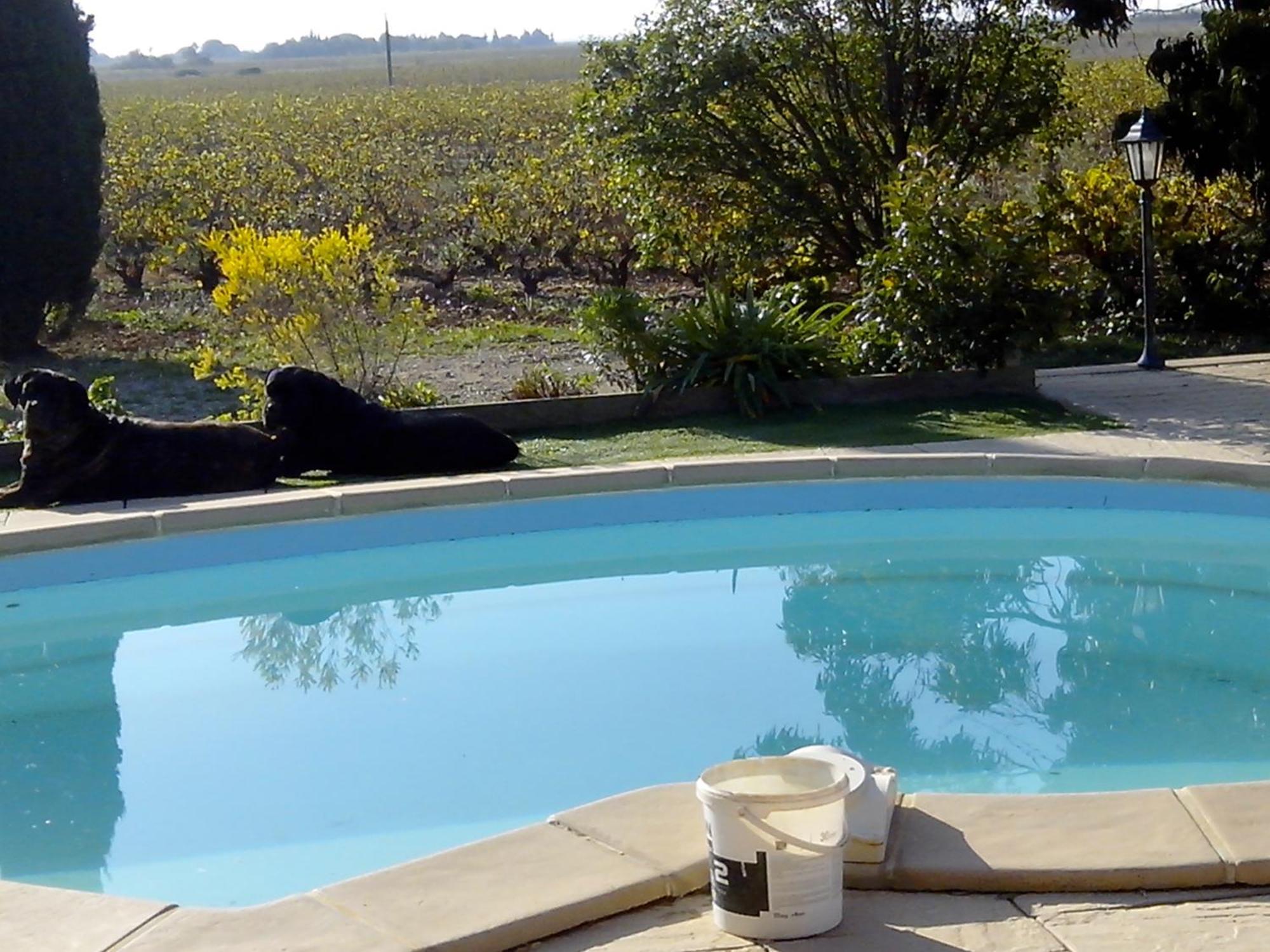 Mas Soleil Et Vignes Bed & Breakfast Saint-Hippolyte  Bagian luar foto